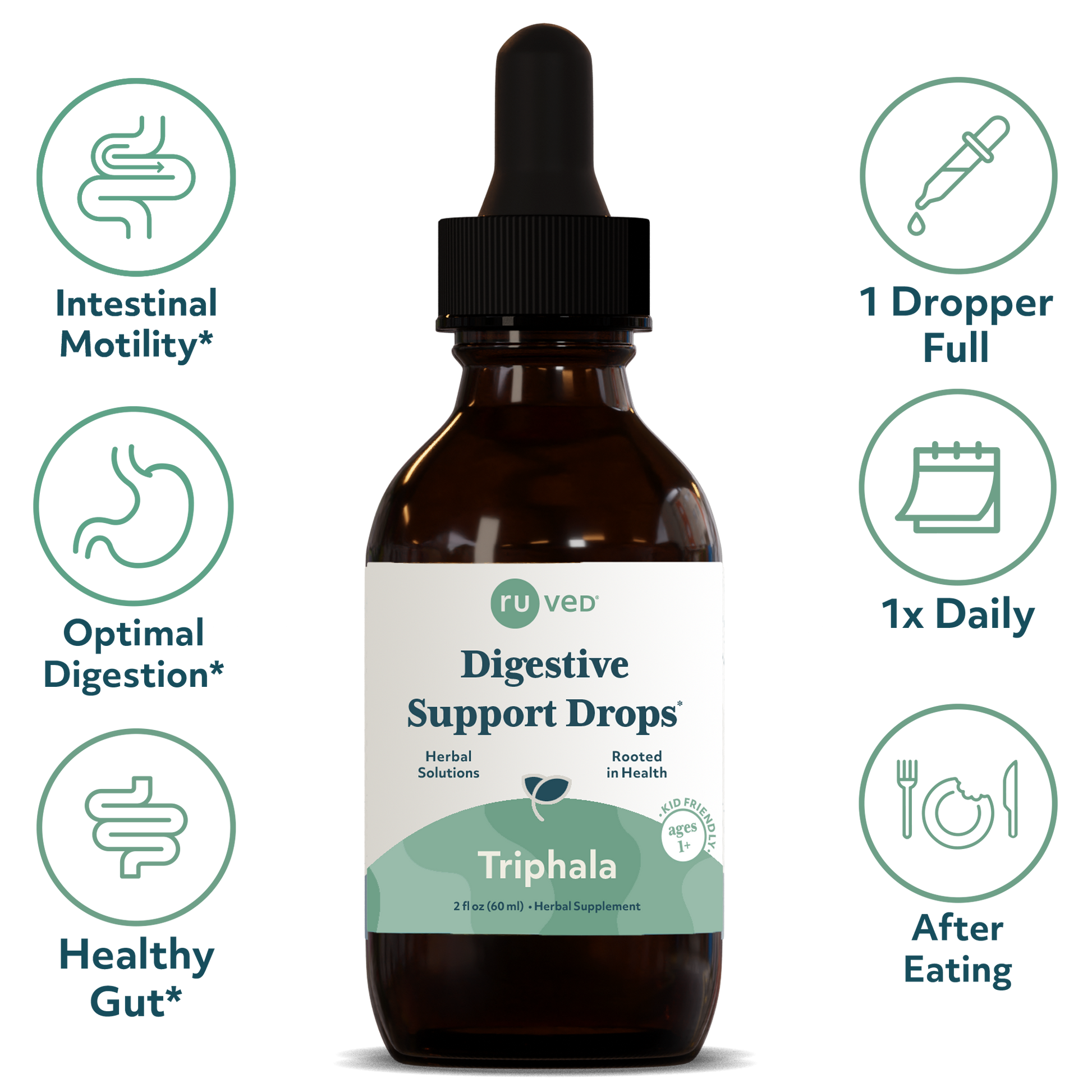 Triphala Drops Infographics - Ayurvedic Digestive Support, 60ml Bottle, Herbal Blend for Gut Health and Digestion Detoxification.