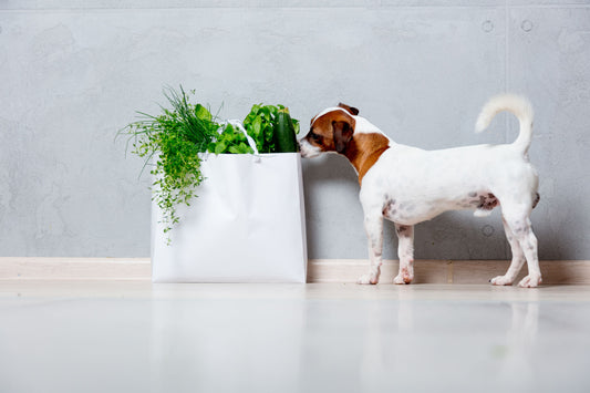 A dog next to a bag of greens.
