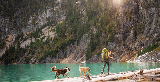 A person hiking next to a lake with two dogs. 