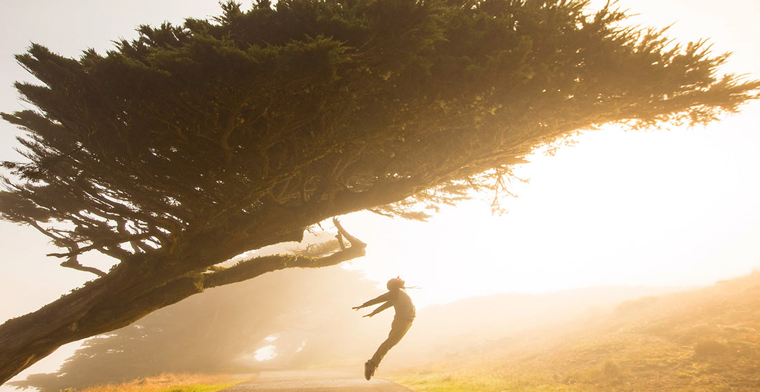 A person jumping forward under a tree, with a very bright sun behind them. 