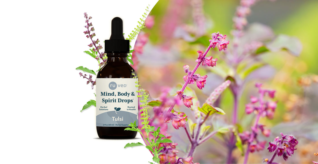 An image of our new Tulsi drops, which support mind, body, and spirit. 