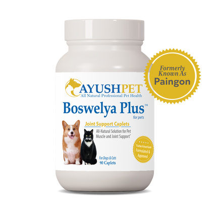 Pet Boswelya Plus supports a healthy inflammatory response in your pet by ruved herbal supplements and ayush herbs