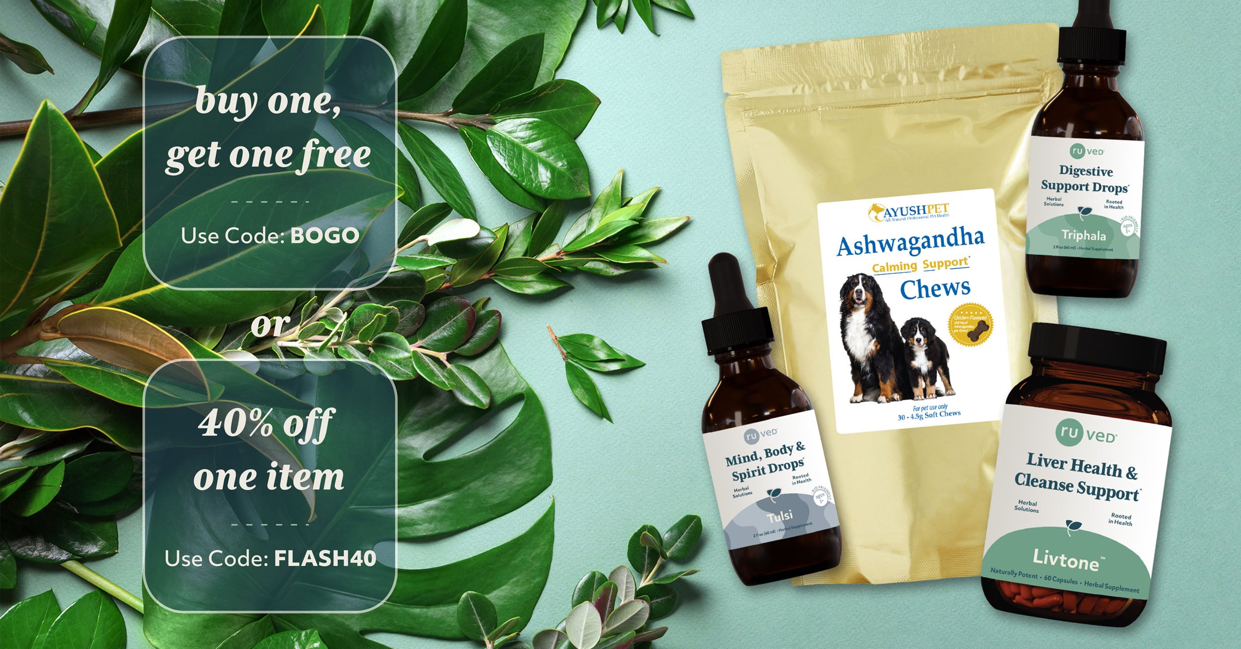 Tulsi Drops, Triphala Drops, Ashwagandha Pet Chews, and Livtone sitting near plants.