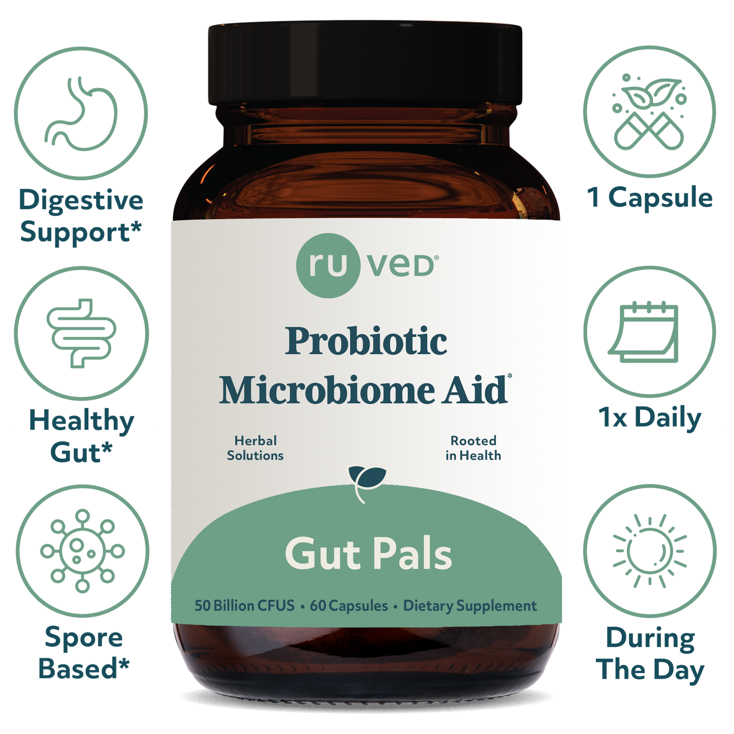 Gut Pals Capsules Infographics - Digestive Health Formula, 60 Capsules, Probiotics, and Prebiotics for Gut Balance.