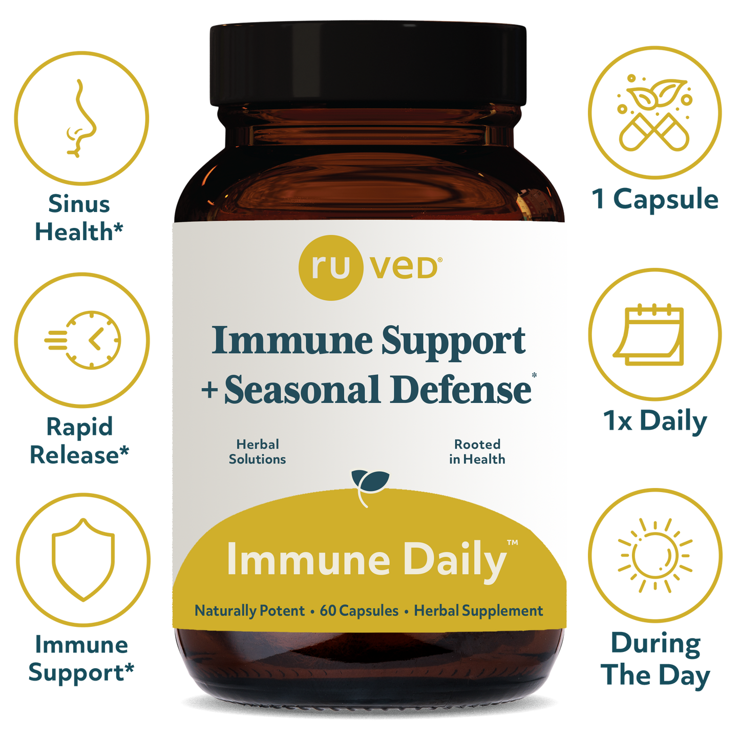 Immune Daily Capsules infographics - Ayurvedic Immune Digestion Formula, 60 Vegetarian Capsules, A Potent blend for Everyday Seasonal Defense Wellness.