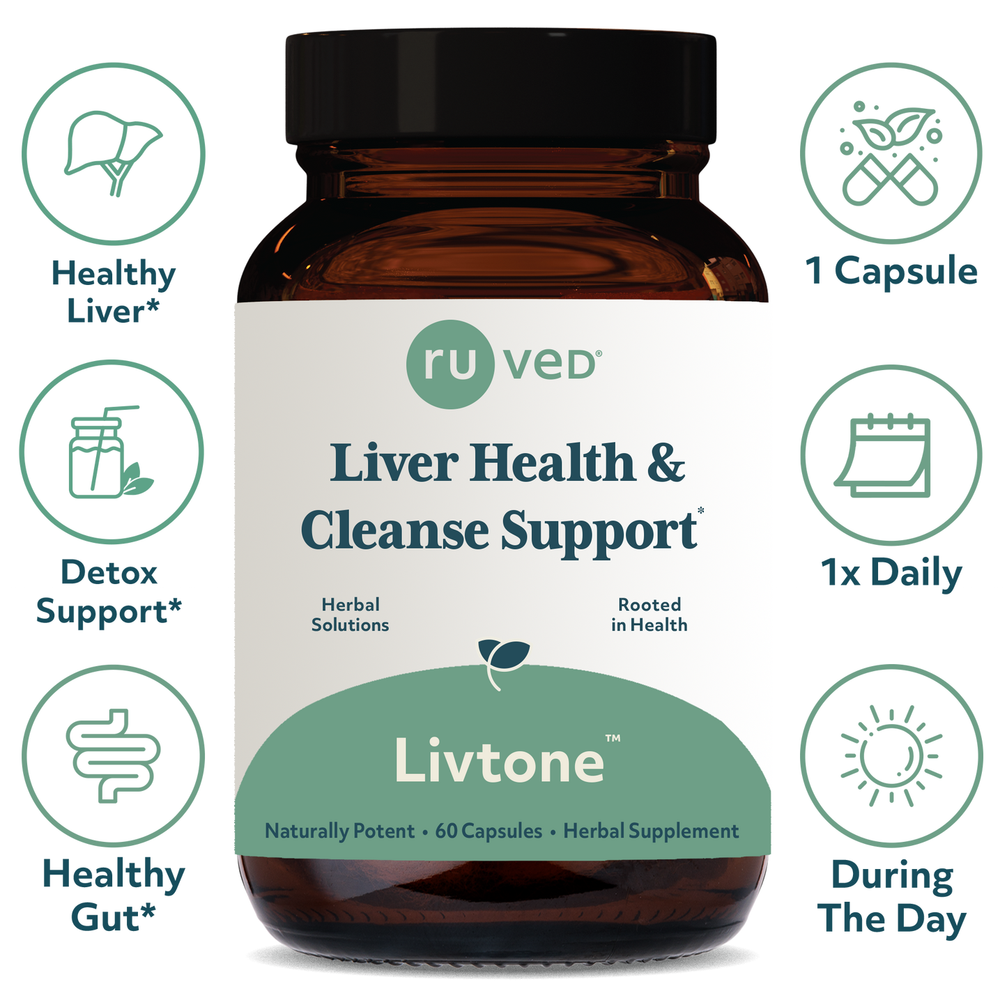Livtone Capsules Infographic - Herbal Liver Support Formula, 60 Vegetarian Capsules, Promotes Liver Health and Detoxification.