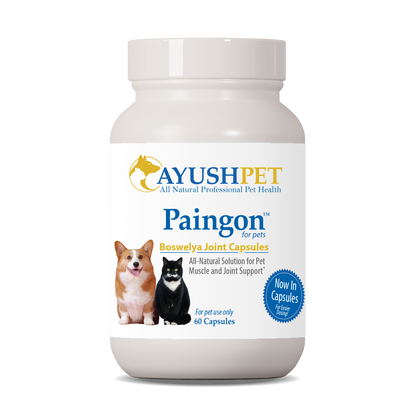 Pet Paingon™ Capsules - Muscle & Joint Support