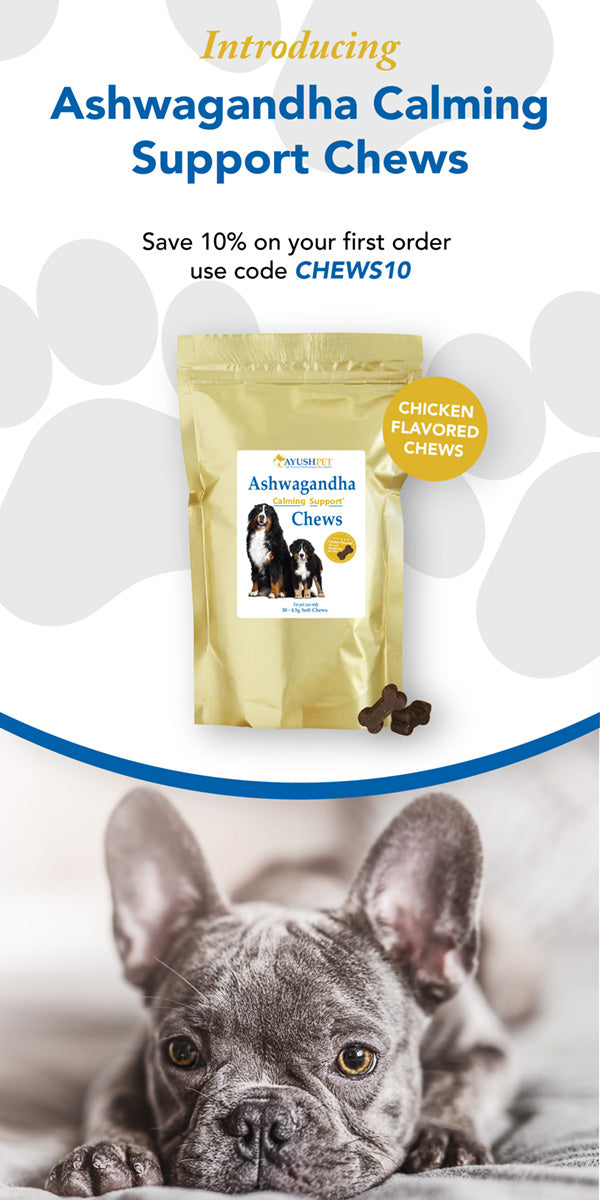 Introducing Ashwagandha Calming Support Pet Chews. Save 10% on your first order with code CHEWS10. There is a picture of the product in a gold bag and a cute, grey french bulldog.