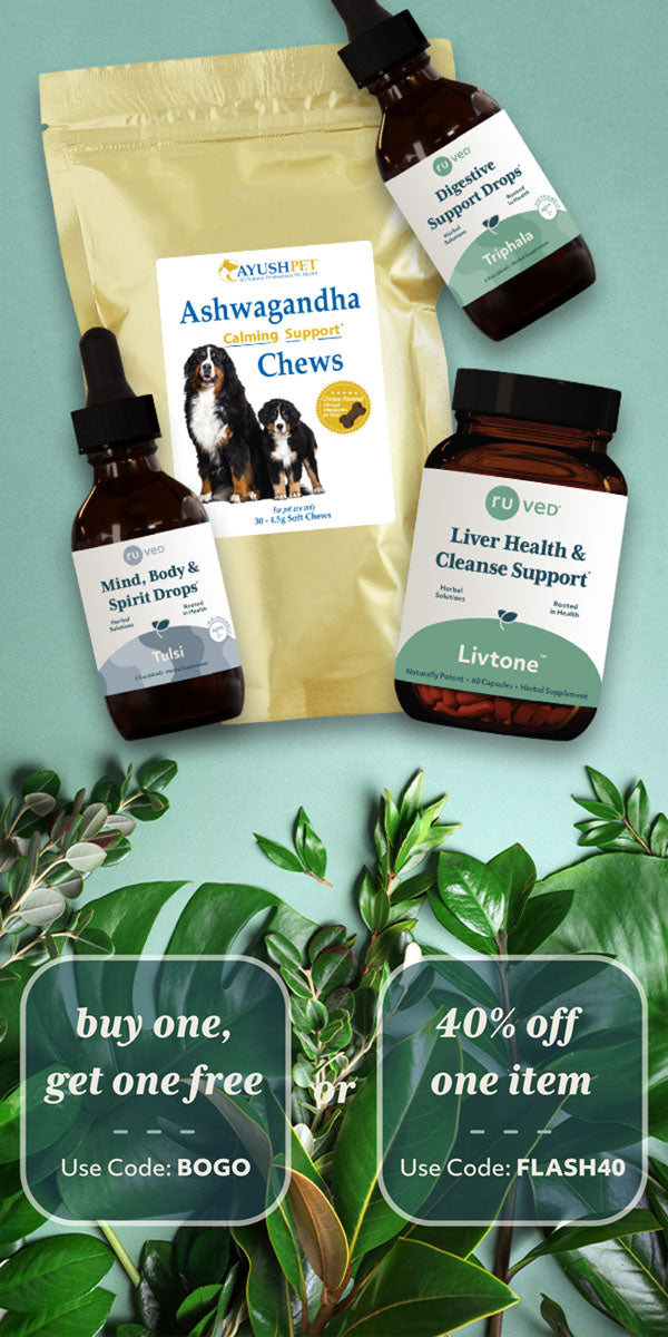 Tulsi Drops, Triphala Drops, Ashwagandha Pet Chews, and Livtone sitting near plants.