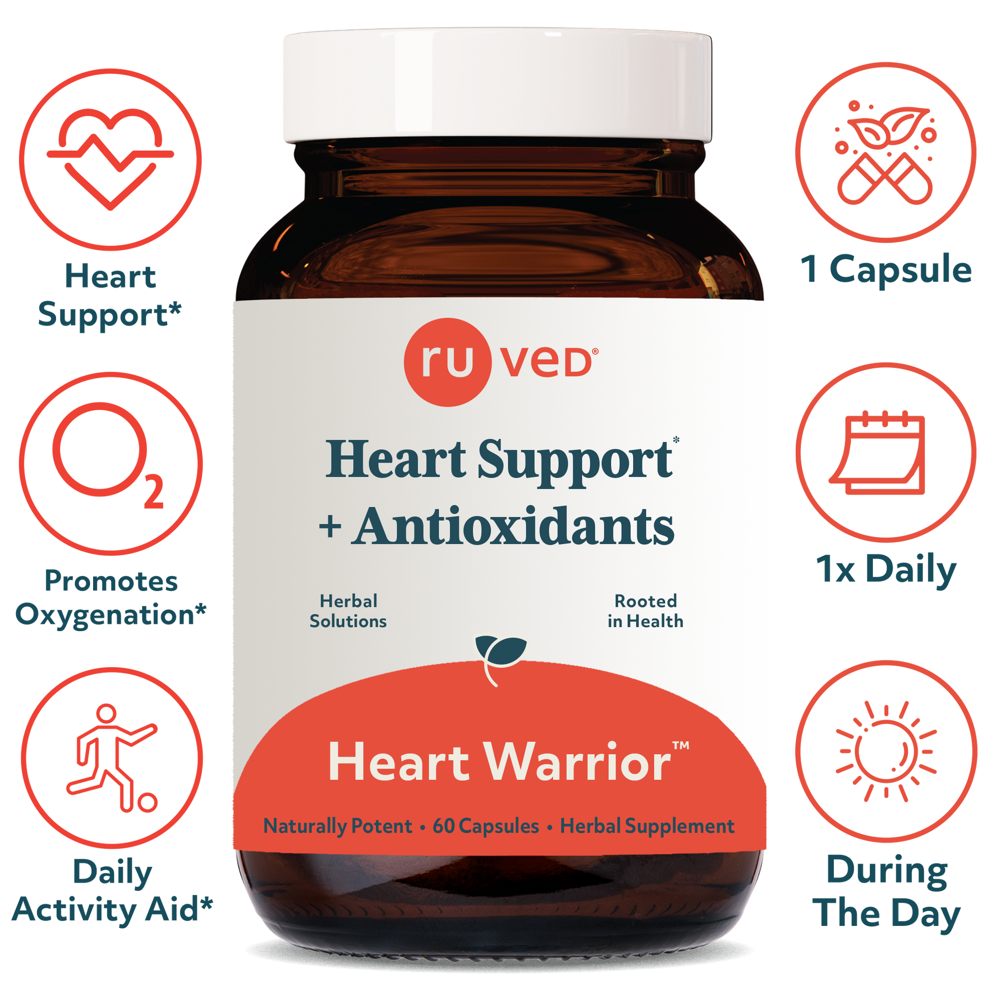 Heart Warrior Capsules Infographics - Advanced Cardiovascular Fitness and Endurance Formula, 60 Vegetarian Capsules, A potent blend for cardiovascular health and vitality.