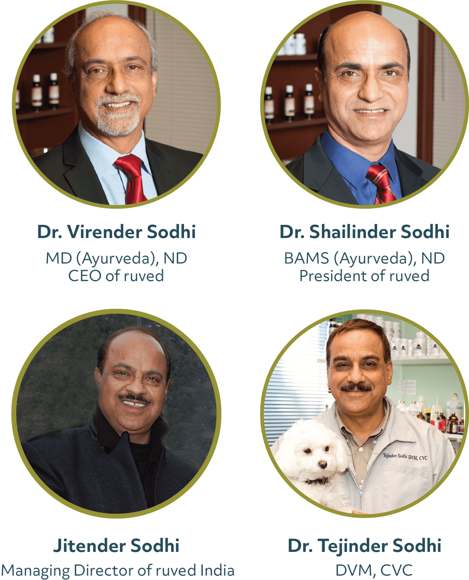 The Sodhi brothers: Dr. Virender Sodhi (CEO of ruved), Dr. Shailinder Sodhi (President of ruved), Jitender Sodhi (Managing Director of ruved), and Dr. Tejinder Sodhi.