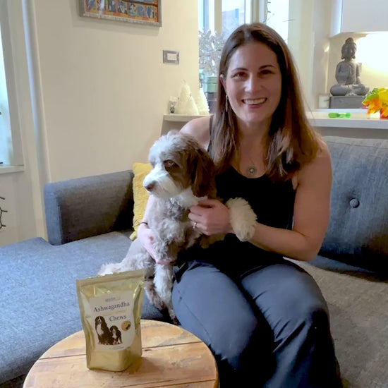 Video: Introducing Ashwagandha Pet Chews - Natural Stress Relief and Wellness for Pets. Happy pet enjoying the benefits of Ashwagandha concentrated treats.